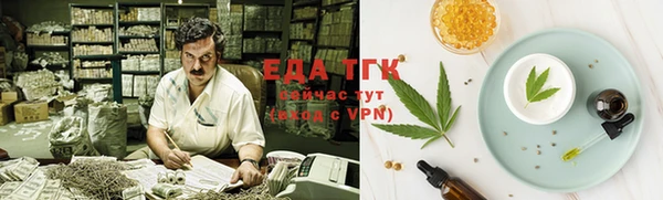 мет Алексин