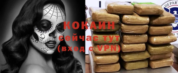 ПСИЛОЦИБИНОВЫЕ ГРИБЫ Алексеевка