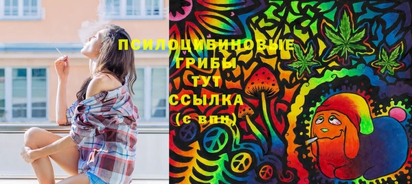 мет Алексин