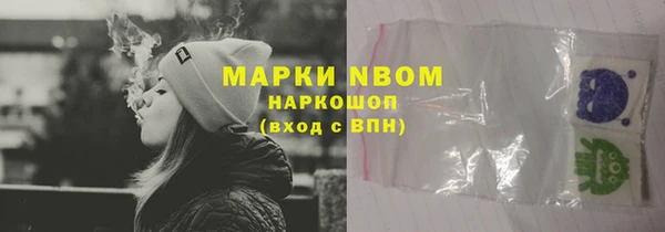 мет Алексин