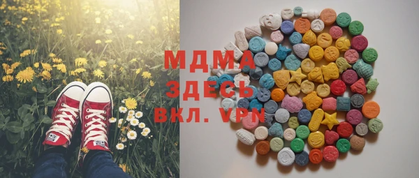 мет Алексин