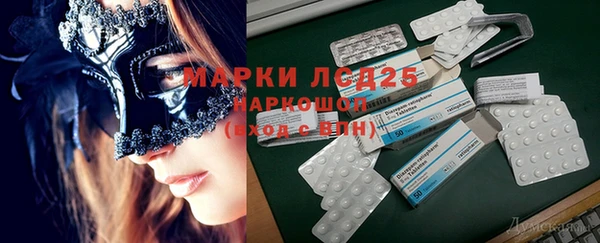 ПСИЛОЦИБИНОВЫЕ ГРИБЫ Алексеевка