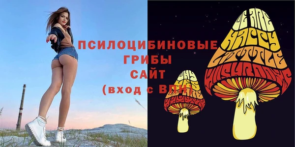 a pvp Алзамай