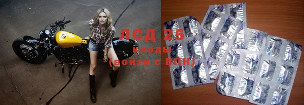 a pvp Алзамай