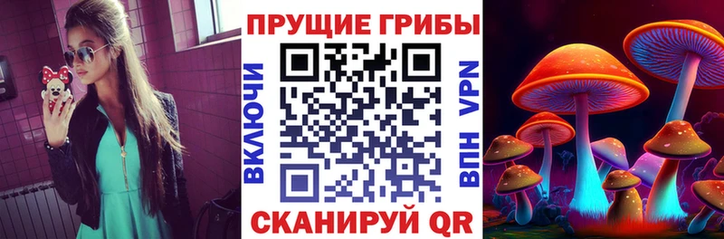 Псилоцибиновые грибы MAGIC MUSHROOMS  Андреаполь 