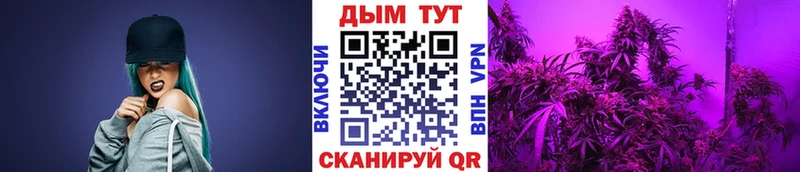Бошки Шишки тримм  Андреаполь 